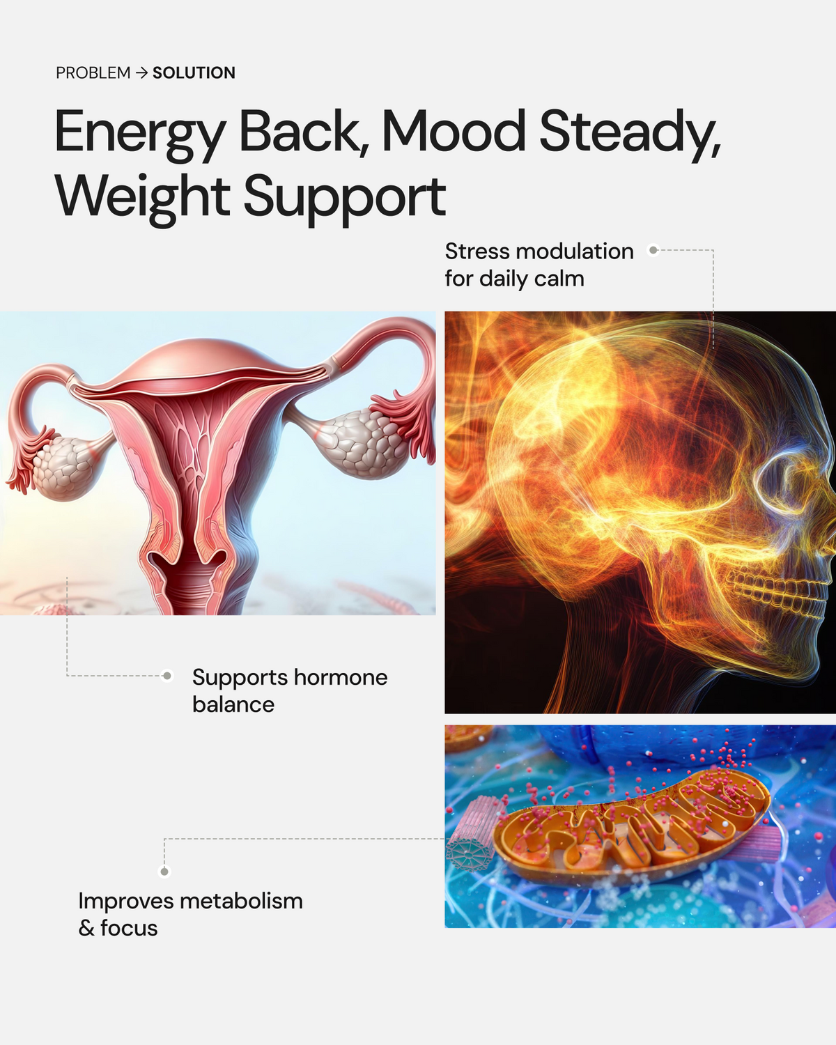 Thyroid Capsules