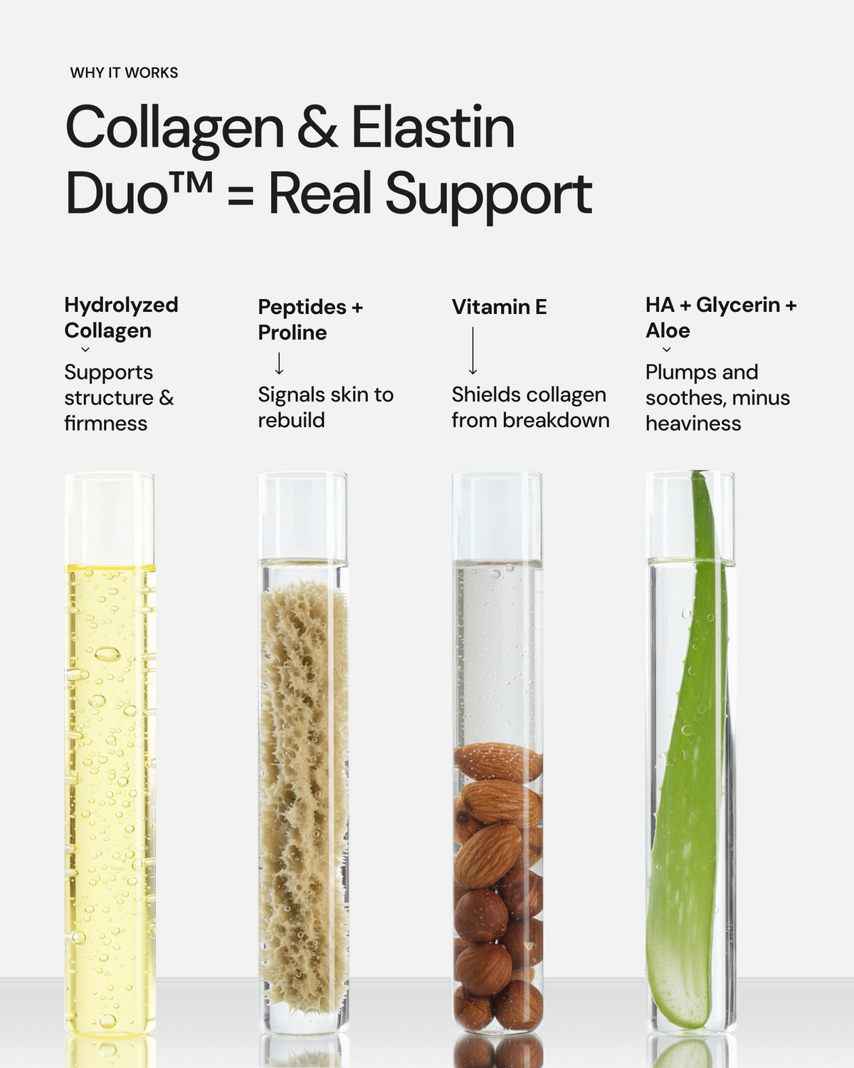 Collagen Cream