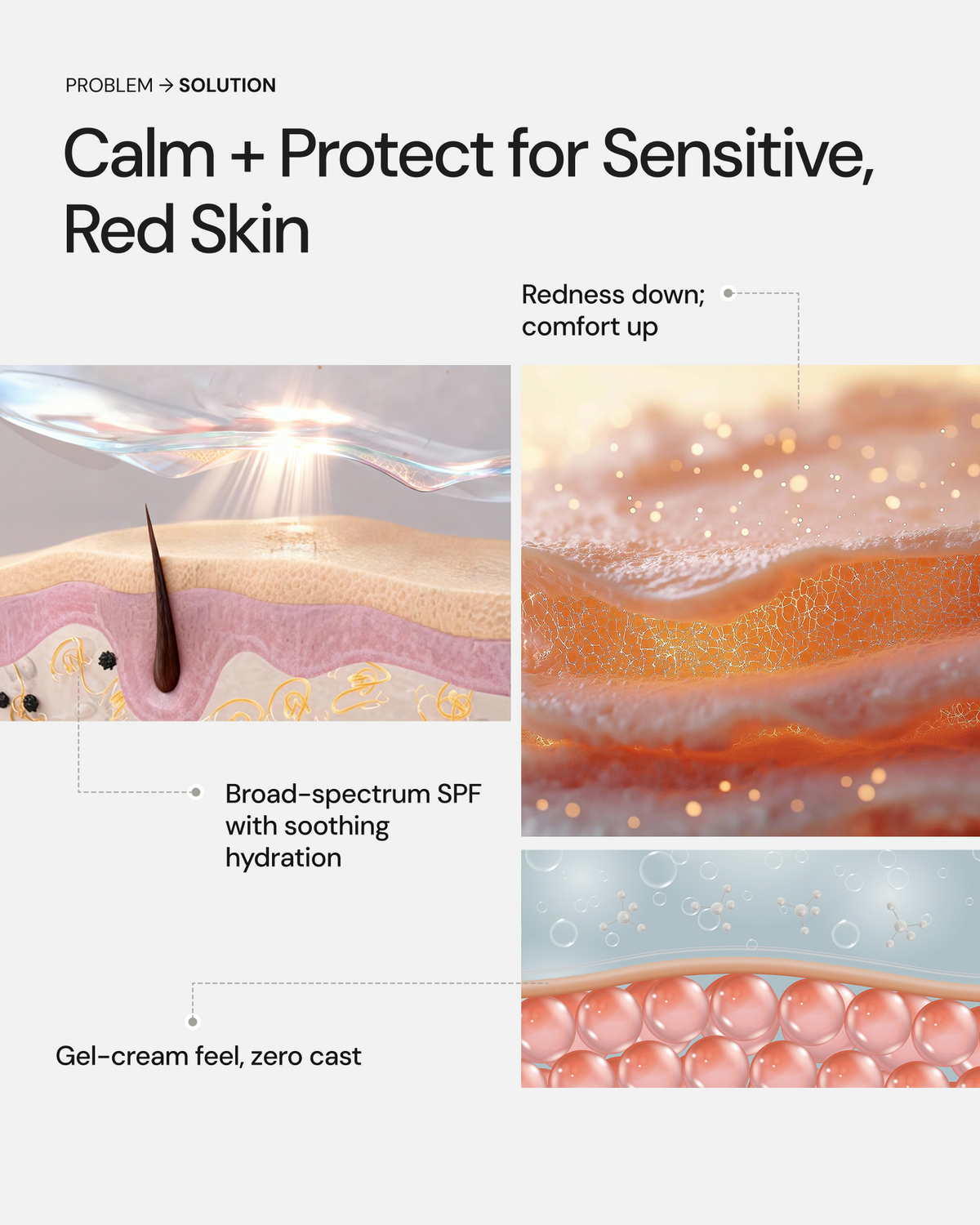 Seaweed Sunscreen