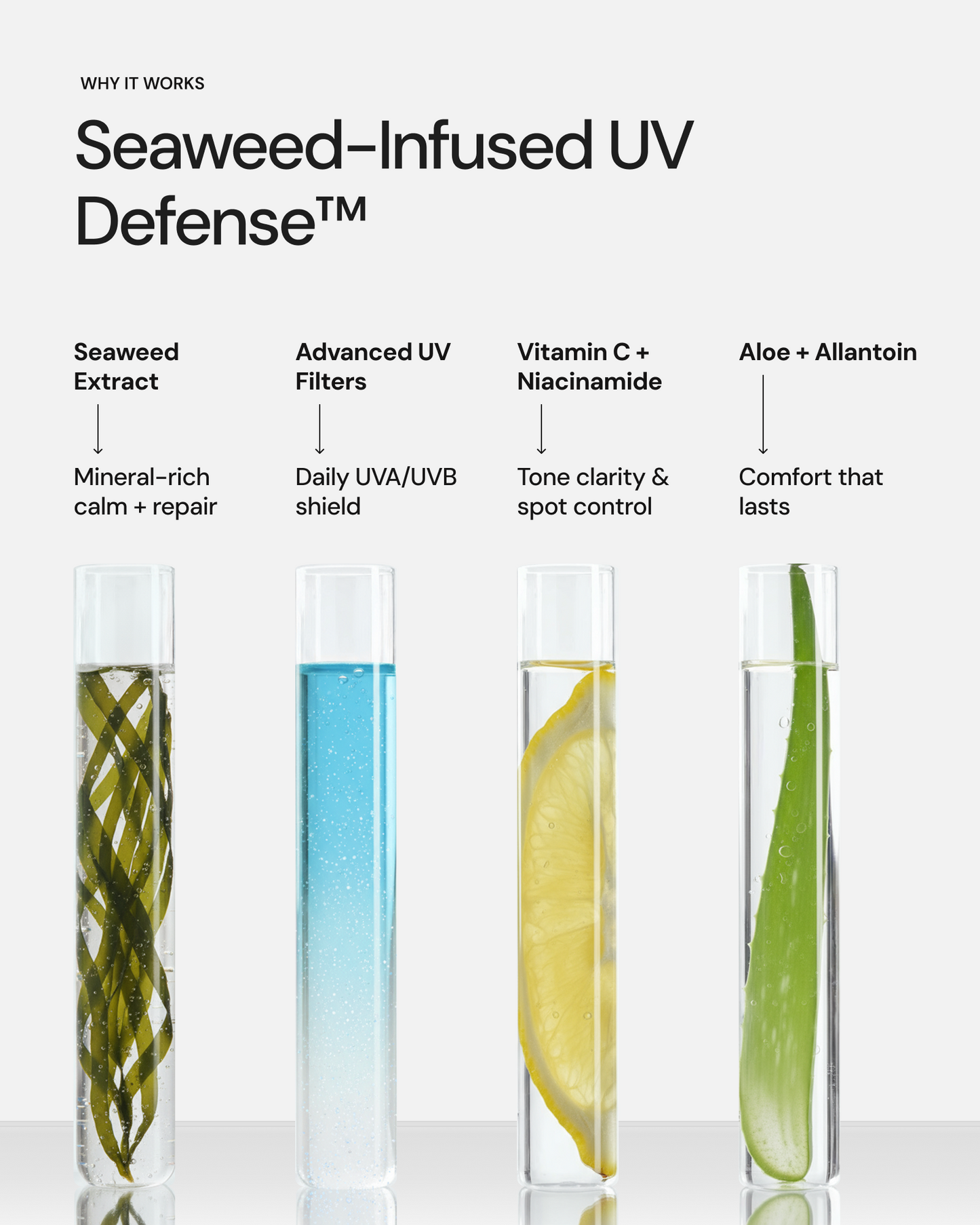 Seaweed Sunscreen