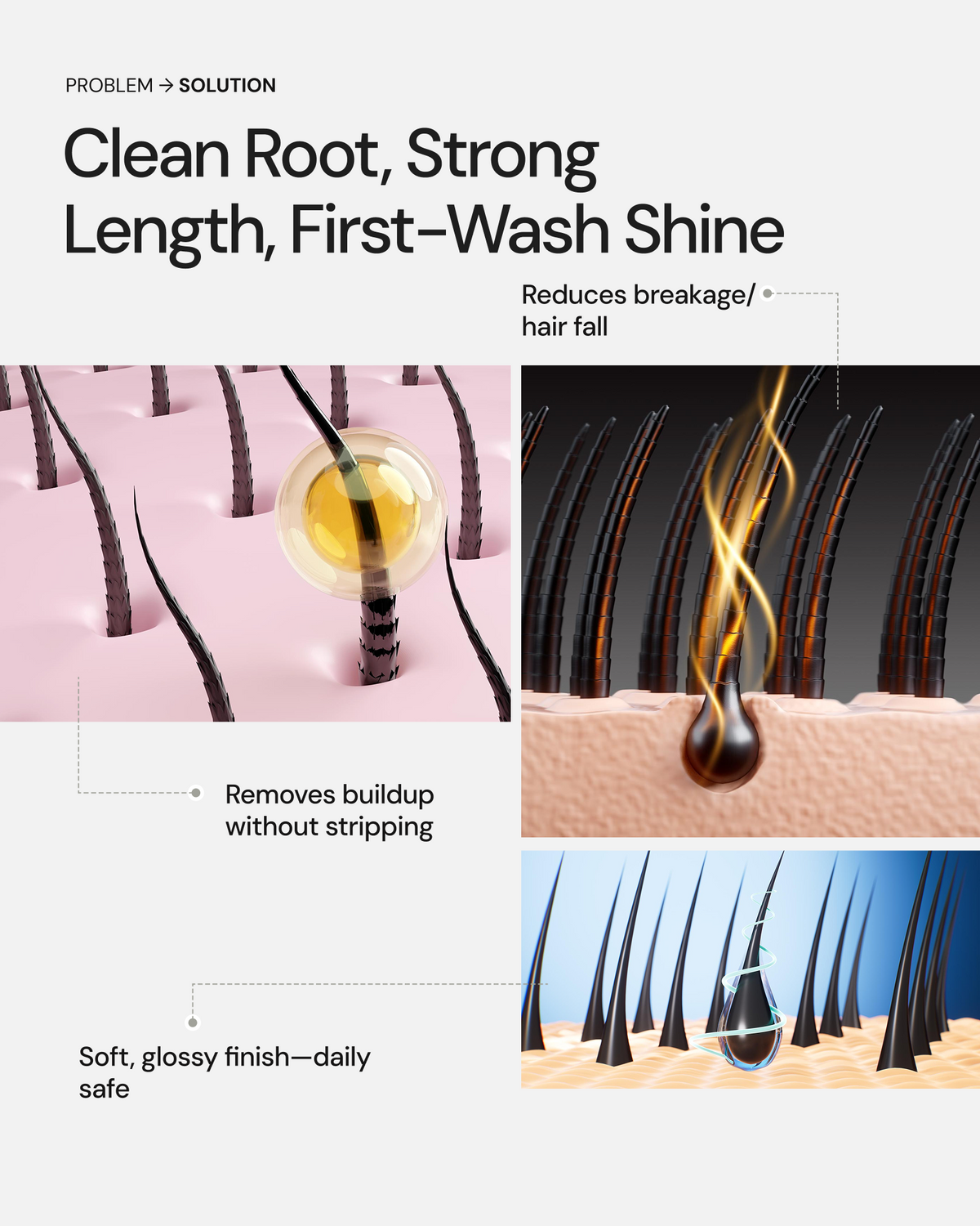 Hair Shampoo