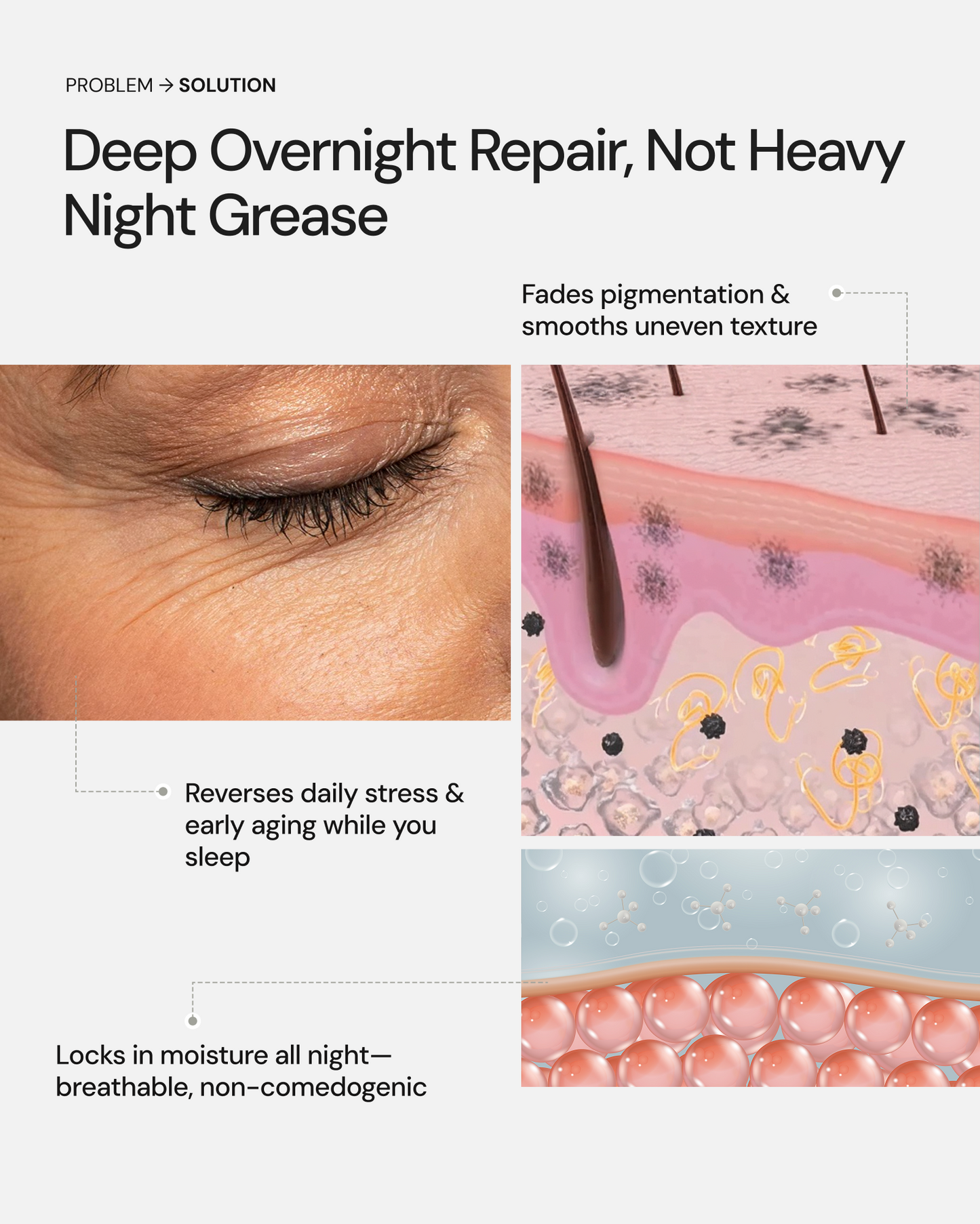 Multipurpose Night Cream