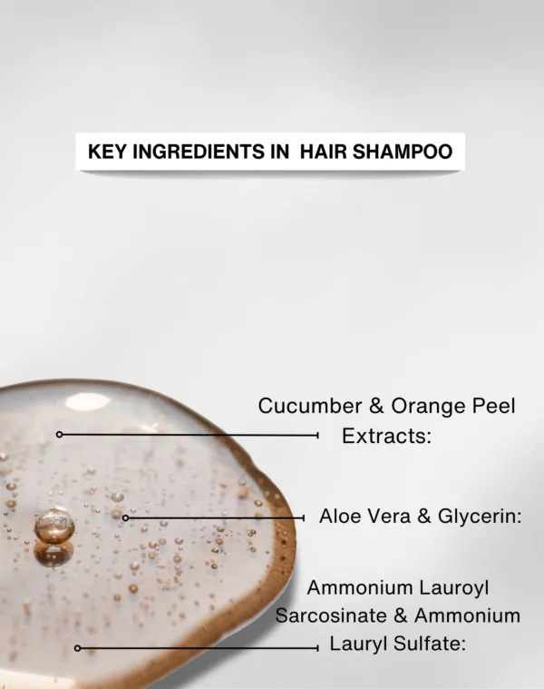 Shampoo for Dandruff and Hairfall | Women and Men Both - Image 3
